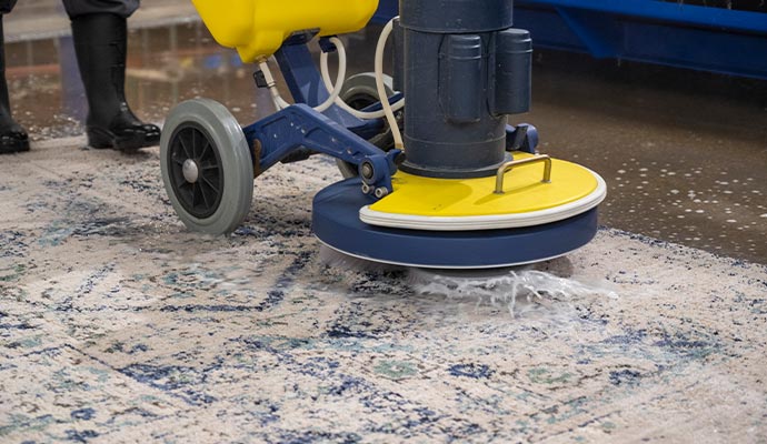 Person cleaning carpet using cleaning machine