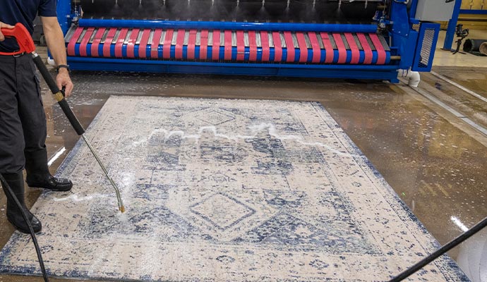 Person cleaning rug  with equipment