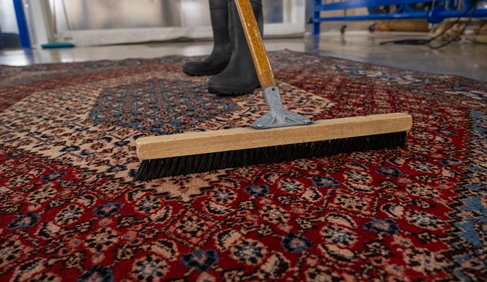 Person cleaning rug with equipment