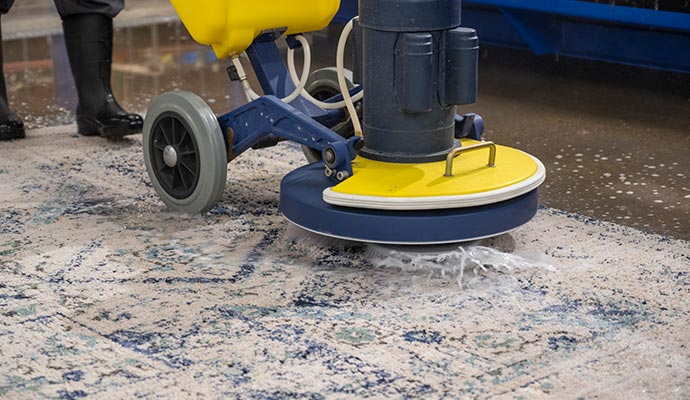 fiber protector rug cleaning