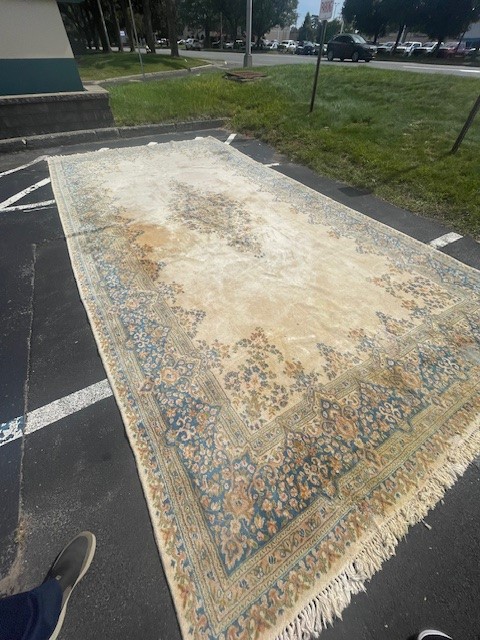 10'x20' living room rug