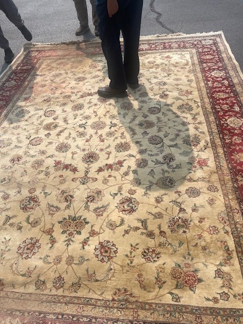 9'x12' living room rug