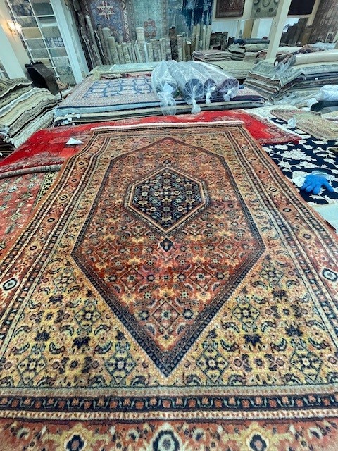 7'x14' living room rug