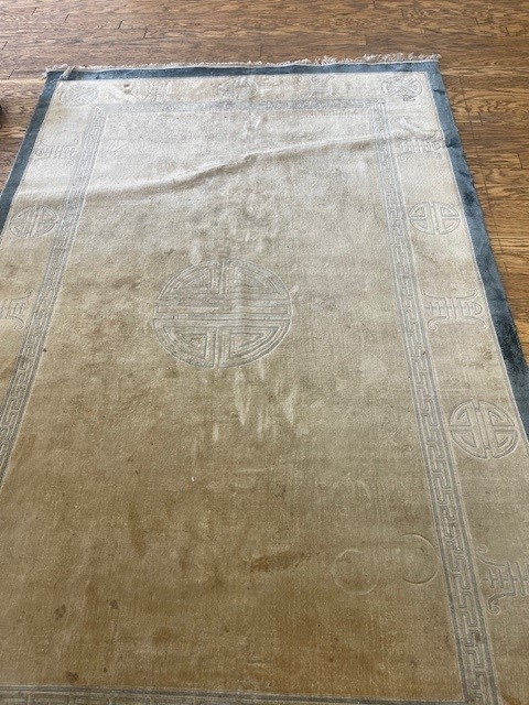 6'x9' rug for living room