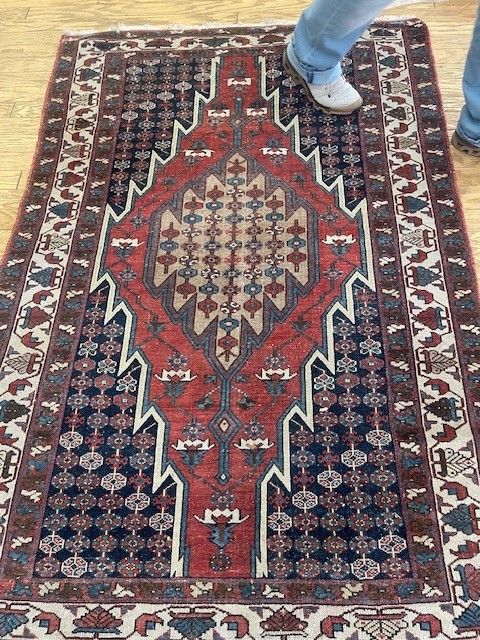 3'x10' hallway runner rug