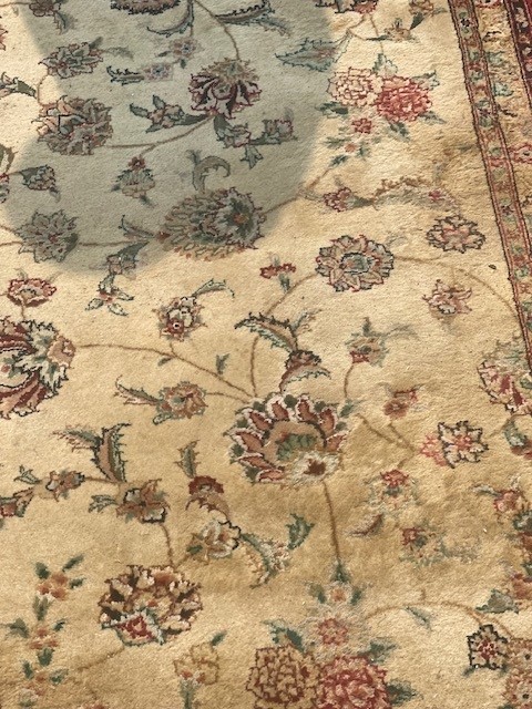 9'x12' living room rug