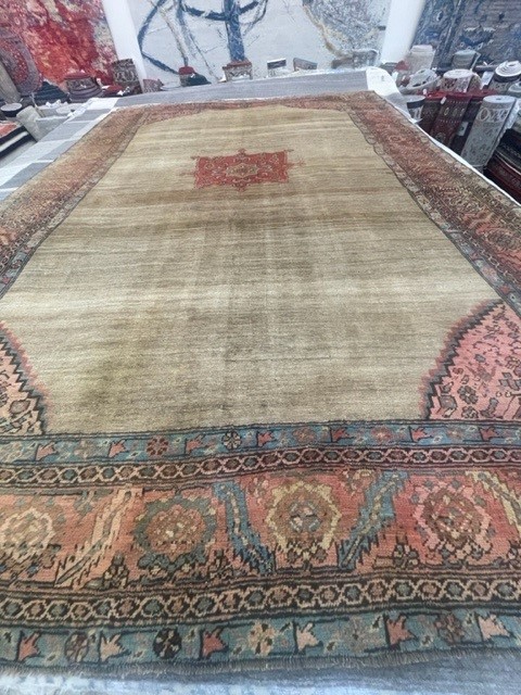 8'x10' living room rug