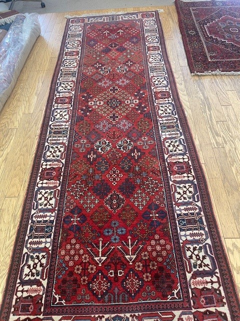 3'x10' hallway runner rug