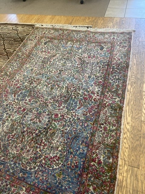 6'x9' rug for living room