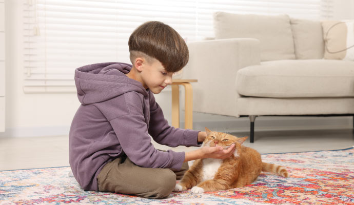 a child playing with a cat on a rug installed floor