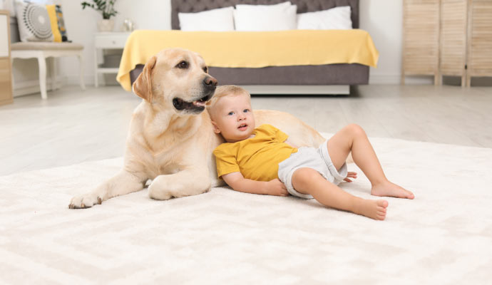 Happy pet and child on the cleaned rug