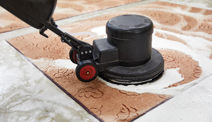 a professional washing a rug using equipment