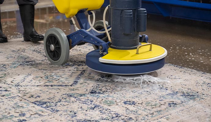 Professional worker cleaning rug