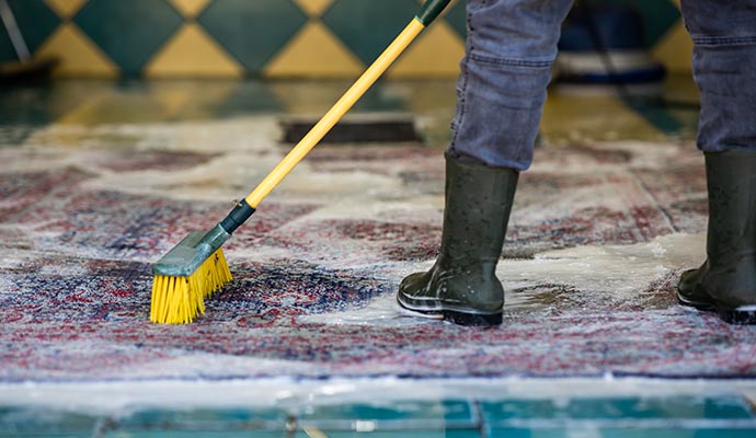 Person scrubbing a soapy rug with a long-handled brush