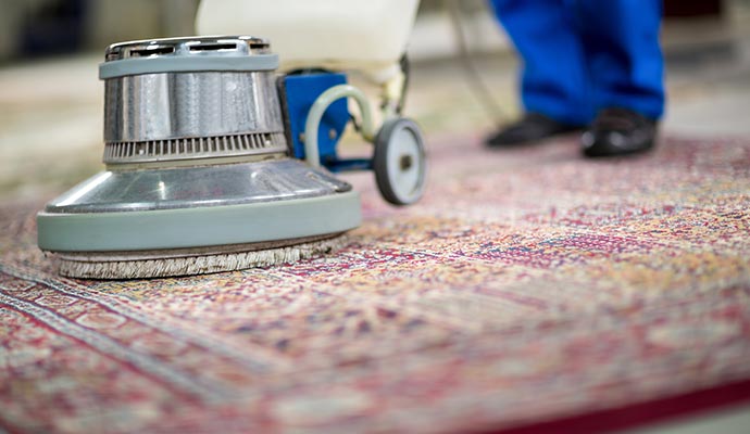 Person cleaning a large rug using a professional cleaning machine