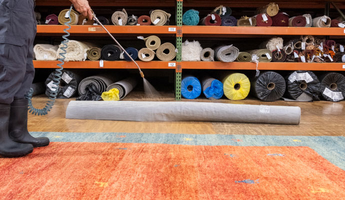 a professional cleaning a rug